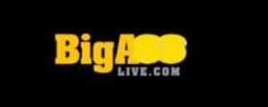 bigasslive logo